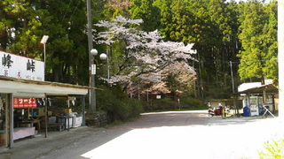 20160417-4.jpg